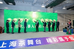 世界白茶在中国,大叶白茶看景谷,景谷大白茶“茗”动上海滩 brand_alt_mark