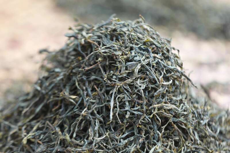 景谷凤山镇:做好“茶”文章 打好“有机牌” 铺就产业“振兴路” brand_alt_mark