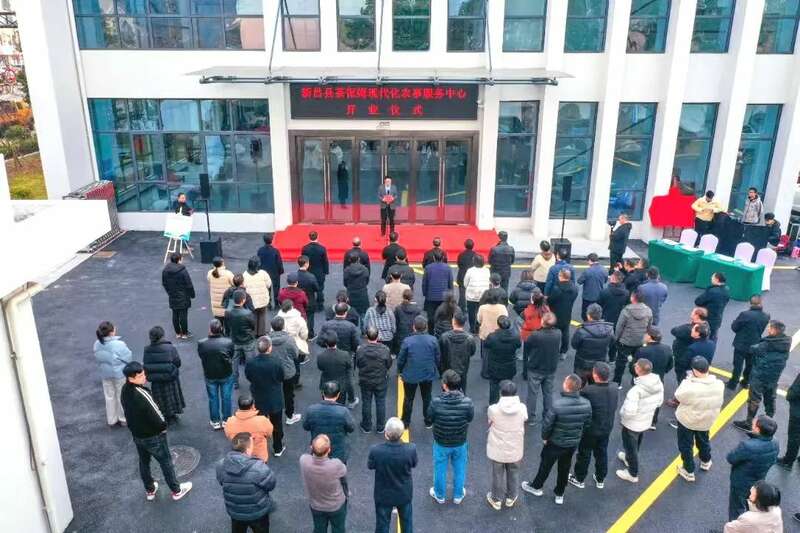 全国首个茶产业现代化服务中心引领产业转型 brand_alt_mark