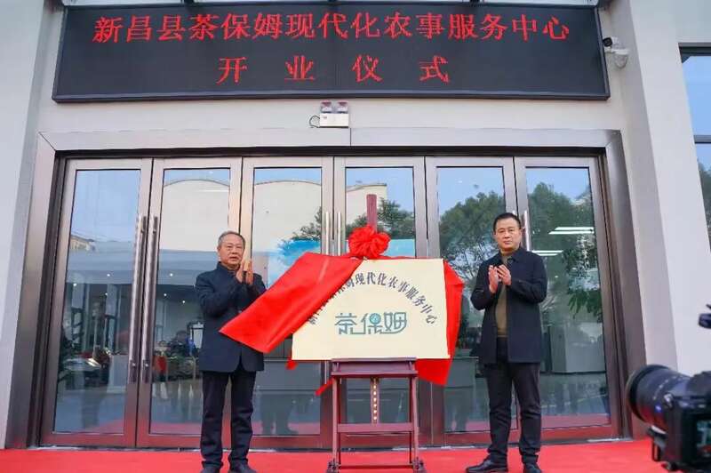 全国首个茶产业现代化服务中心引领产业转型 brand_alt_mark