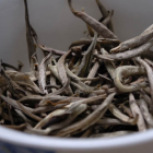 广东大叶青制作工艺与独特香气解析