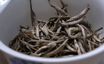 广东大叶青.png 广东大叶青.png