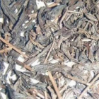 霍山黄大茶：传统工艺与独特风味解析