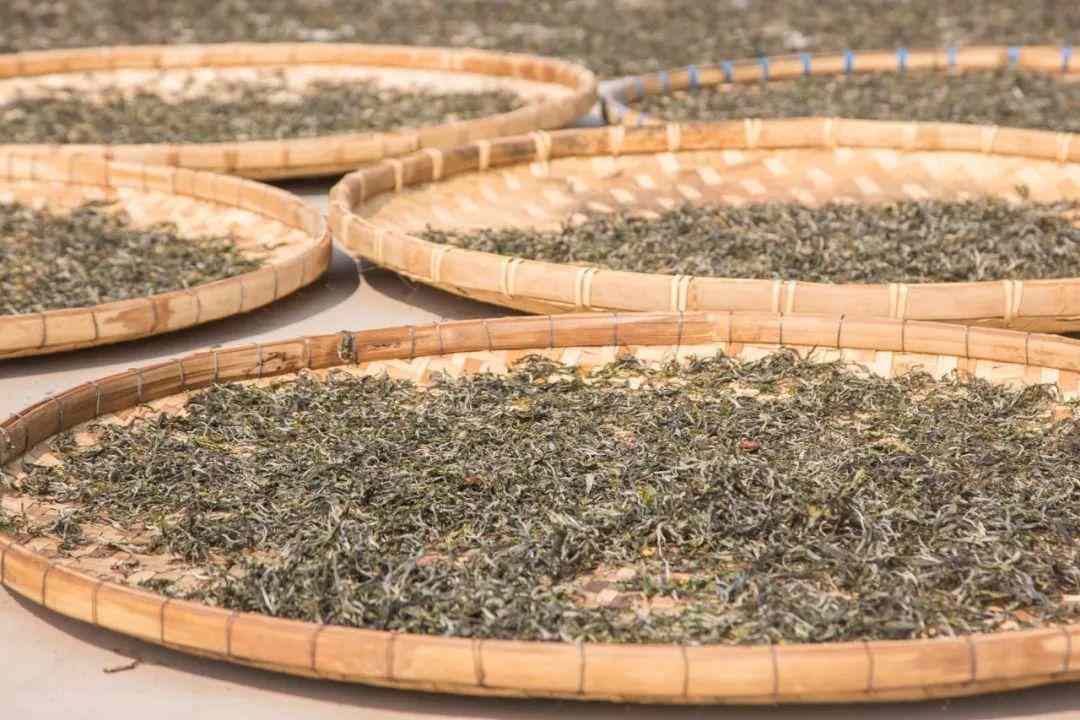 普洱茶收藏四标准,选对茶值得长期保存 普洱茶收藏四标准,选对茶值得长期保存