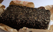 湖南黑茶.png 湖南黑茶.png