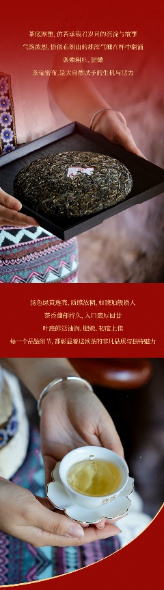 匠心巨制·炉火纯青,陈升号2024年“陈升匠心·53”面市 brand_alt_mark