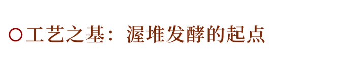 解码熟普香气图鉴 读懂经典【陈香】