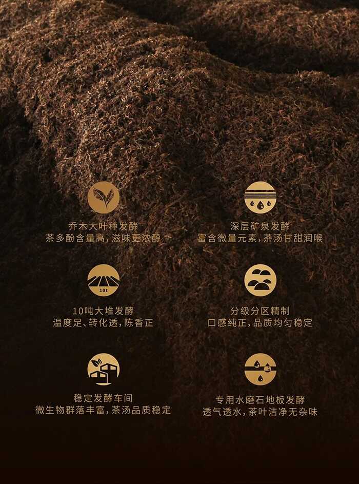 解码熟普香气图鉴 读懂经典【陈香】