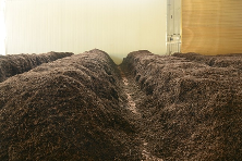 解码熟普香气图鉴 读懂经典【陈香】