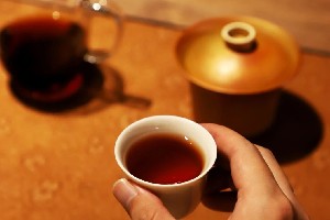 解码熟普香气图鉴 读懂经典【陈香】