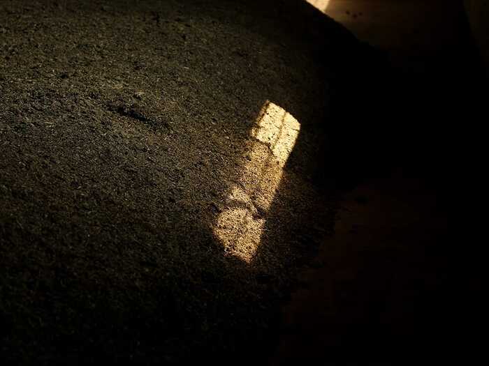 传统大堆 VS 现代小堆? 普洱熟茶的微生物博弈与风味抉择