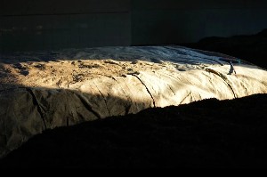 传统大堆 VS 现代小堆? 普洱熟茶的微生物博弈与风味抉择