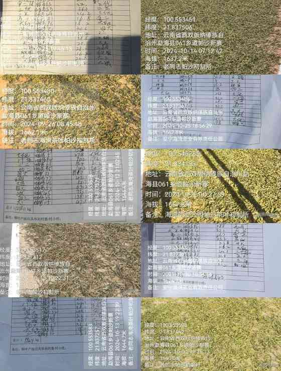 一起打开 王厂长亲临初制所监制的“黑金·帕沙”奥妙… brand_alt_mark