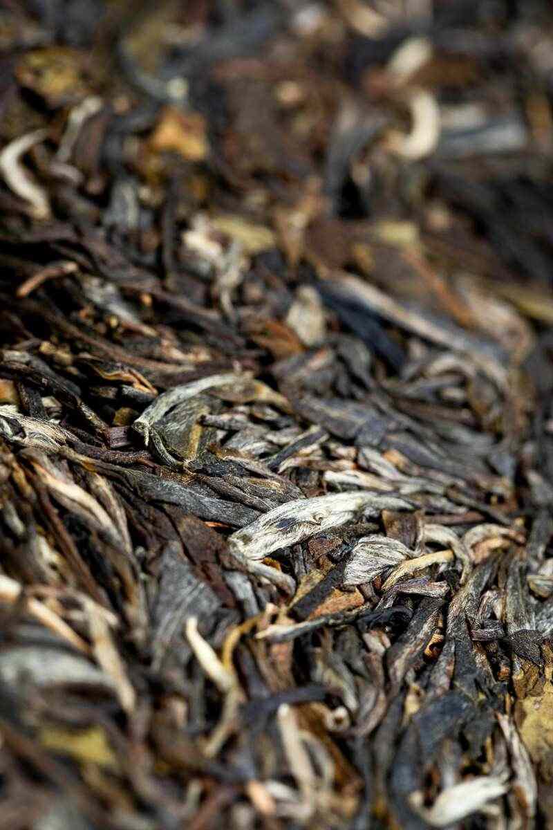 一起打开 王厂长亲临初制所监制的“黑金·帕沙”奥妙… brand_alt_mark