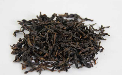 大红袍.png 大红袍.png