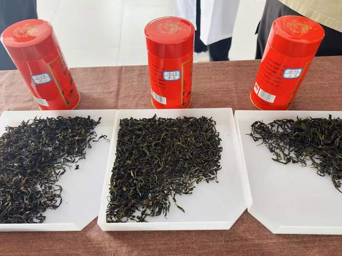 揭秘武夷岩茶独特的“上市时差”与“岩韵”密码