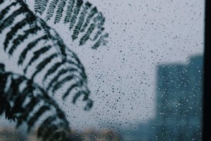 雨天泡茶总欠点滋味？几招让你轻松拿捏！