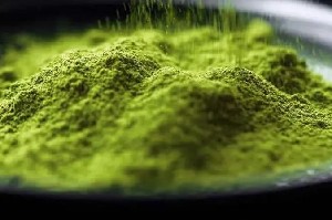 抹茶感官风味轮的构建及应用