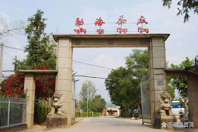 普洱茶知名品牌“大益”，影响力为何逐渐下降？这4大因素是关键