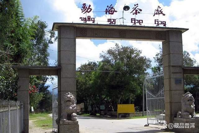 红大益2003年巴达野生茶，高山纯料，绿色有机，早年少有的精品