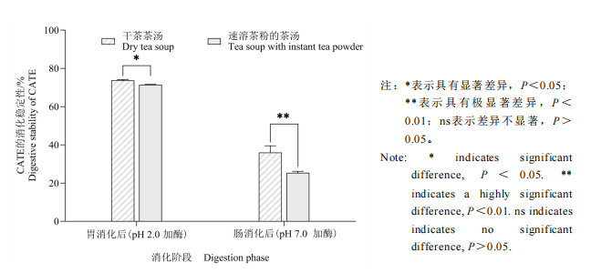 速溶茶粉和干茶的营养真相（附适合人群指南）