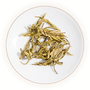 黄金芽的叶底.jpg 黄金芽的叶底.jpg