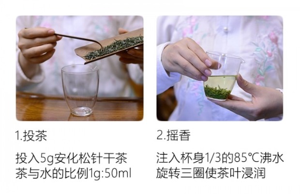 安化松针的冲泡方法1.jpg 安化松针
