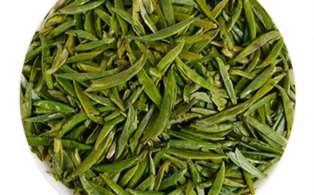 峨眉雪芽.jpg 峨眉雪芽.jpg