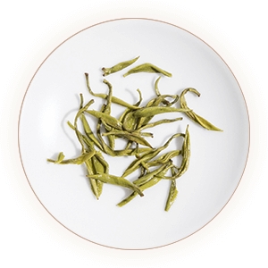 文君绿茶的叶底.jpg 文君绿茶的叶底.jpg