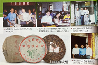 勐海茶厂定制茶三大经典系列解析：绿大树、大白菜与金银大益