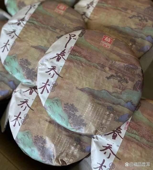 1801早春乔木熟饼：高端熟茶口感与收藏价值解析