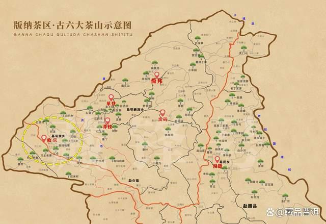 昌泰2004年陈弘昌攸乐极品老生茶品鉴与陈化解析