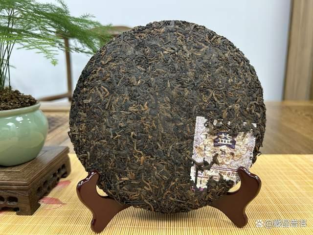 大益金针白莲与7572熟茶对比评测，用料工艺差异明显