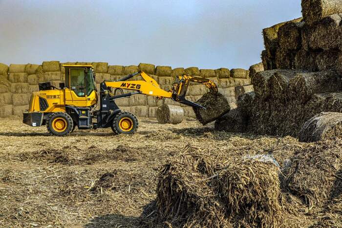 水稻秸秆覆盖茶园行间技术助力农业绿色发展 茶园行间覆盖水稻秸秆,让秸秆“变废为宝”