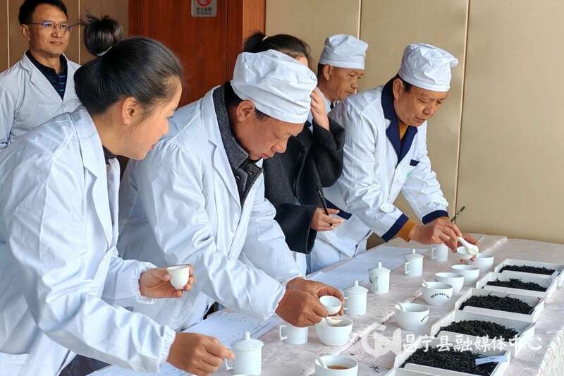 昌宁县红茶产业发展协会年会召开 品牌影响力持续提升 brand_alt_mark