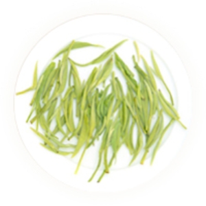 英山云雾茶的叶底.jpg 英山云雾茶的叶底.jpg