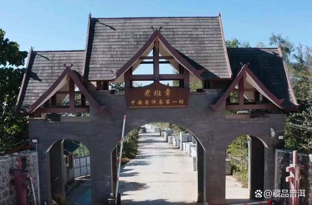 陈升号四大名山系列茶品深度解析,名山古树茶的品质特色全揭秘 陈升号四大名山系列茶品深度解析,名山古树茶的品质特色全揭秘