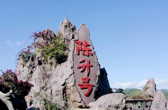 陈升号四大名山系列茶品深度解析,名山古树茶的品质特色全揭秘 陈升号四大名山系列茶品深度解析,名山古树茶的品质特色全揭秘