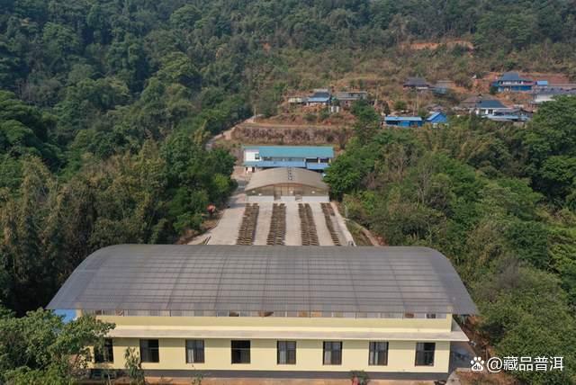 陈升号四大名山系列茶品深度解析,名山古树茶的品质特色全揭秘 陈升号四大名山系列茶品深度解析,名山古树茶的品质特色全揭秘