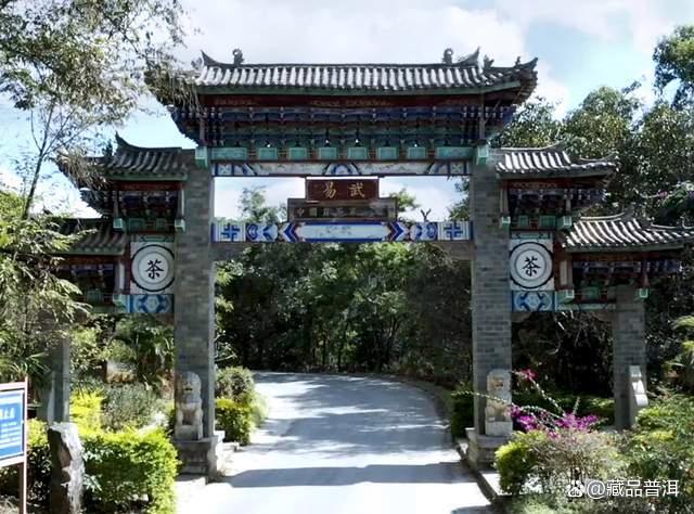 陈升号四大名山系列茶品深度解析,名山古树茶的品质特色全揭秘 陈升号四大名山系列茶品深度解析,名山古树茶的品质特色全揭秘