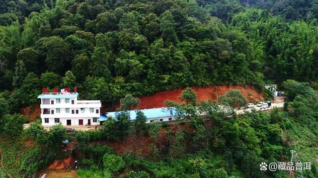 陈升号四大名山系列茶品深度解析,名山古树茶的品质特色全揭秘 陈升号四大名山系列茶品深度解析,名山古树茶的品质特色全揭秘