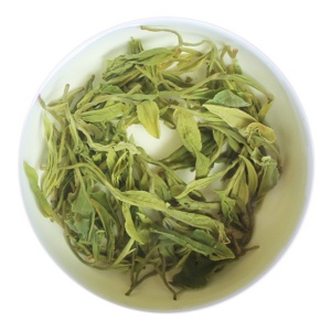 金山时雨的叶底.jpg 金山时雨的叶底.jpg