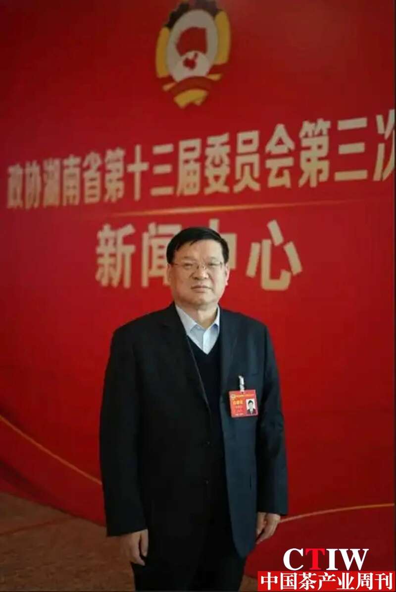 湖南茶产业年产值破千亿 茶农亩收入超6100元助力乡村振兴 brand_alt_mark