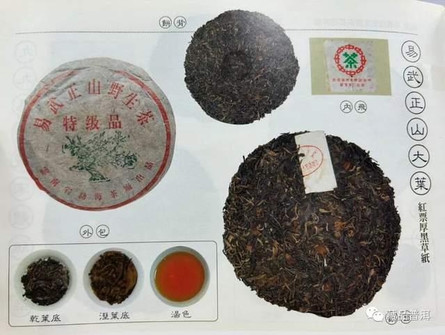 99绿大树三个版本区别详解，蓝黑票紫红票红票特征对比