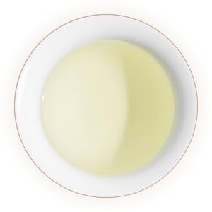 日照绿茶的汤色.jpg 日照绿茶的汤色.jpg