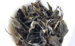 寿眉.png 寿眉.png