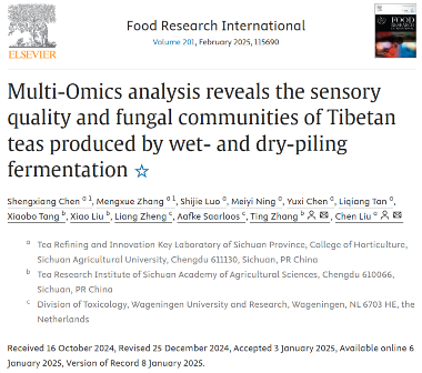雅安藏茶渥堆工艺对比:干坯与湿坯方法品质差异解析 brand_alt_mark