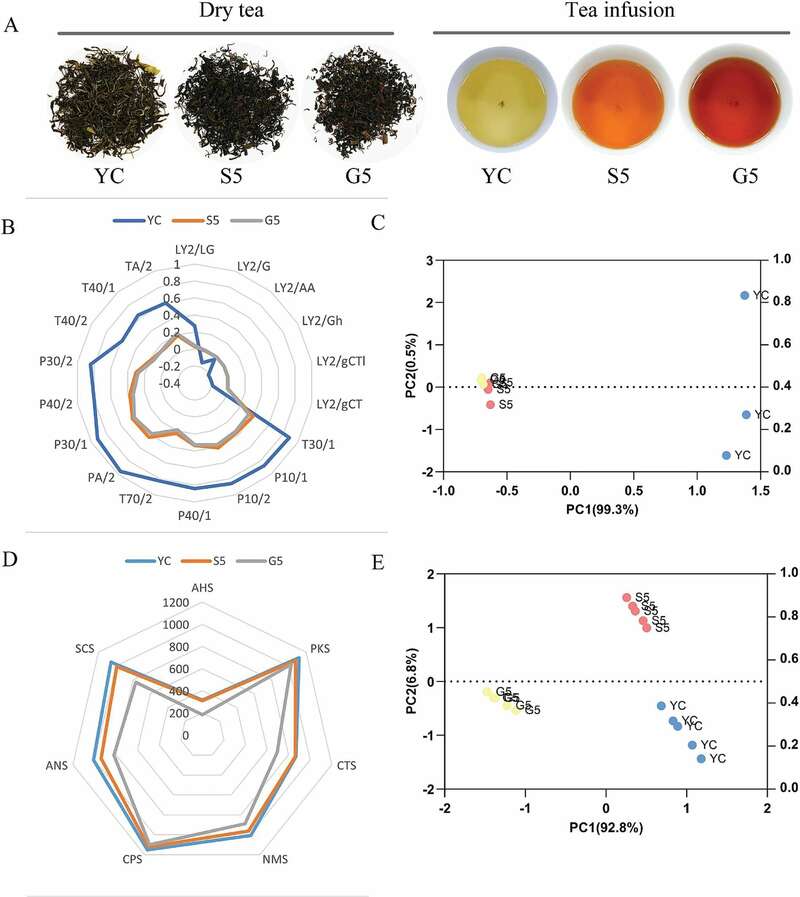 雅安藏茶渥堆工艺对比:干坯与湿坯方法品质差异解析 brand_alt_mark