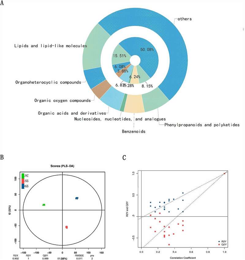 雅安藏茶渥堆工艺对比:干坯与湿坯方法品质差异解析 brand_alt_mark