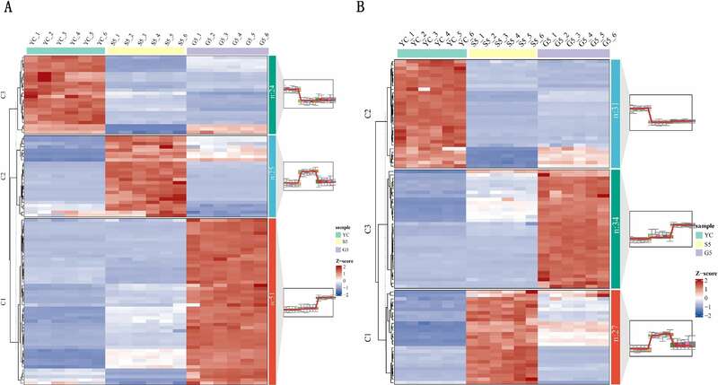 雅安藏茶渥堆工艺对比:干坯与湿坯方法品质差异解析 brand_alt_mark